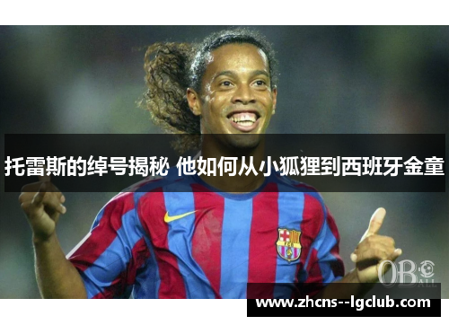 托雷斯的绰号揭秘 他如何从小狐狸到西班牙金童 托雷斯的绰号揭秘 他如何从小狐狸到西班牙金童