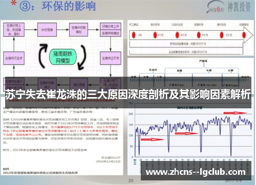 苏宁失去崔龙洙的三大原因深度剖析及其影响因素解析 苏宁失去崔龙洙的三大原因深度剖析及其影响因素解析