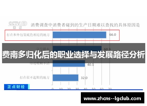 费南多归化后的职业选择与发展路径分析