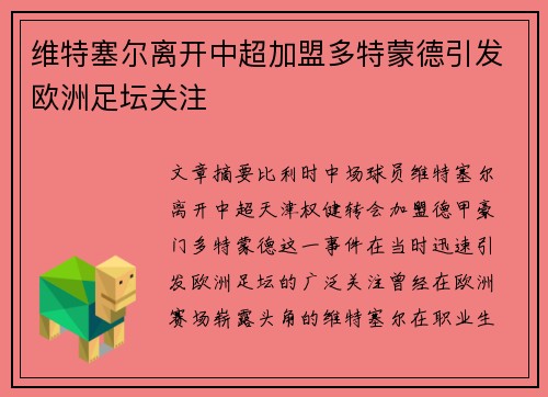 维特塞尔离开中超加盟多特蒙德引发欧洲足坛关注 维特塞尔离开中超加盟多特蒙德引发欧洲足坛关注