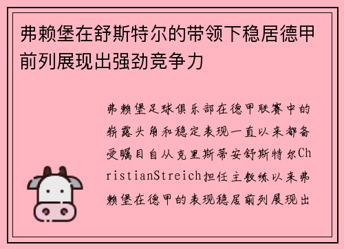 弗赖堡在舒斯特尔的带领下稳居德甲前列展现出强劲竞争力 弗赖堡在舒斯特尔的带领下稳居德甲前列展现出强劲竞争力